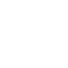 Raptor plan