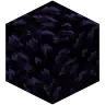 Obsidian plan