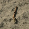 Castaway plan