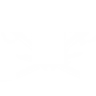 Captain